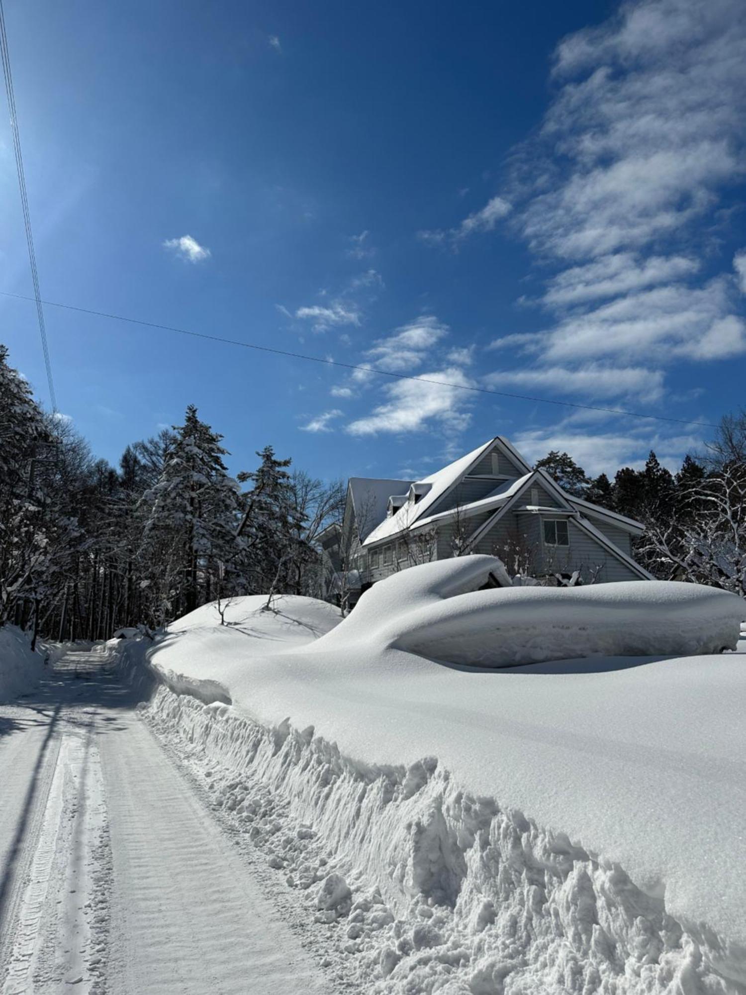 Natural Hot Spring Hakuba Symphony Экстерьер фото