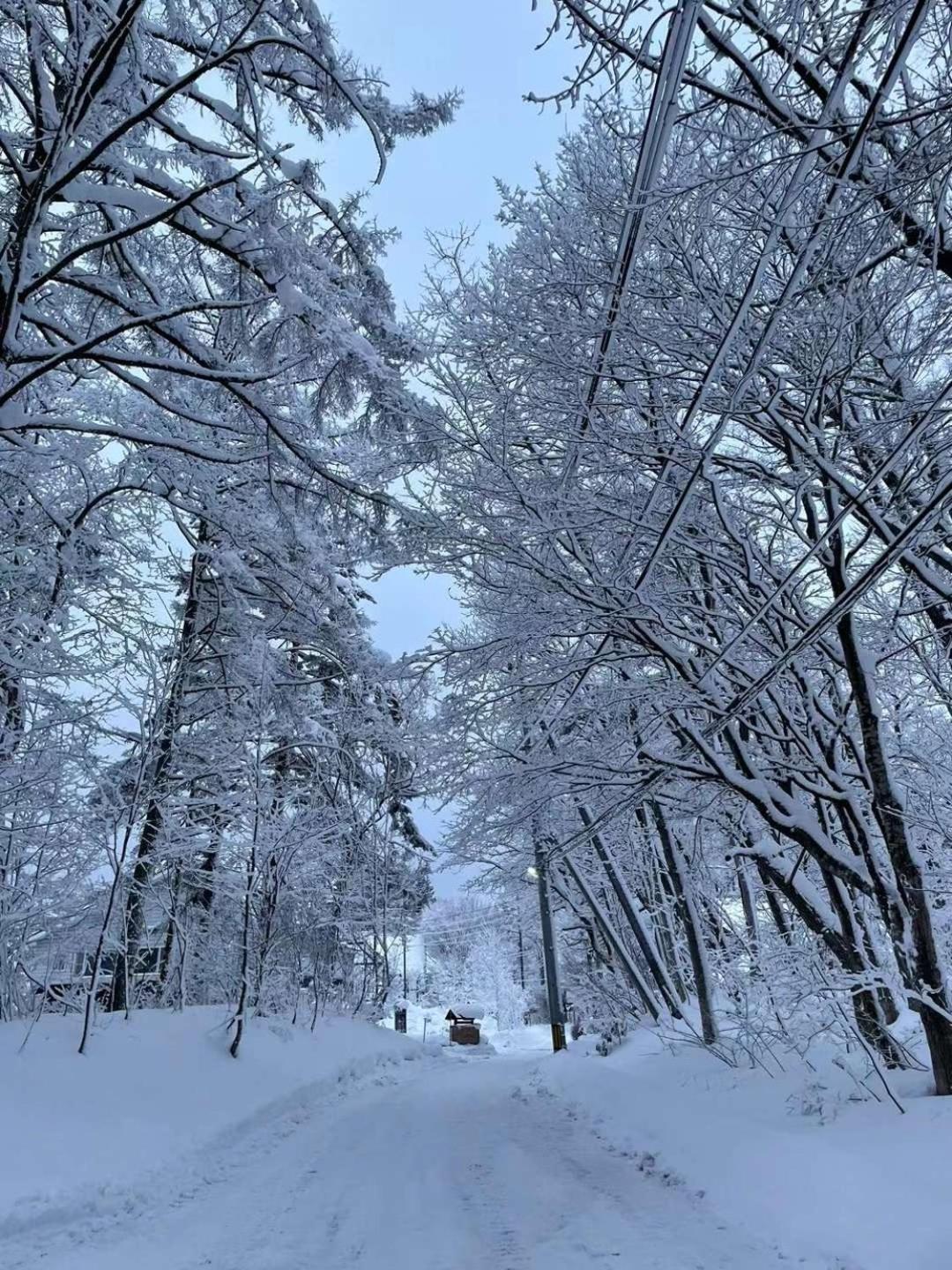 Natural Hot Spring Hakuba Symphony Экстерьер фото